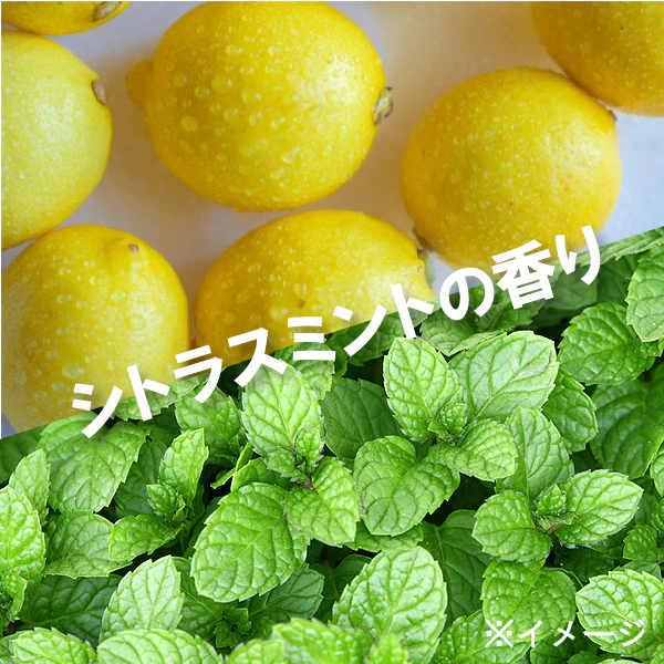 SOLADEY 美白牙膏 Premium White F1450 柑橘薄荷味