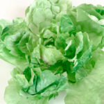 生菜便條紙